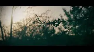 Cold Day | B-Roll | Sony α7s mark. I