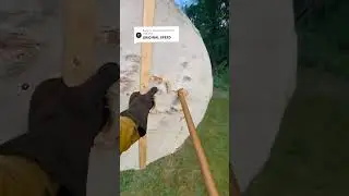 Here is the original speed of the spear throw video. #medieval #cosplay #viking #knight #bannerlord