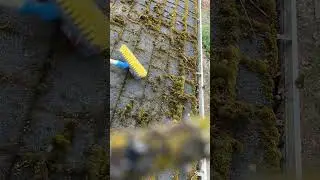 #satisfying #ytshorts #subscribe #roofcleaning #moss #oregon #enjoy