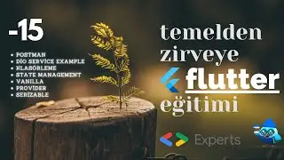 Temelden Zirveye Flutter: #15 Postman, Dio, Klasorleme, Vanilla State ve Provider etc.