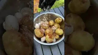 Cooking Chicken by the Mountainside &mdash; Delicious Outdoor Meal! #food #chefselection #cooking