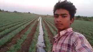 5 जनवरी 2026