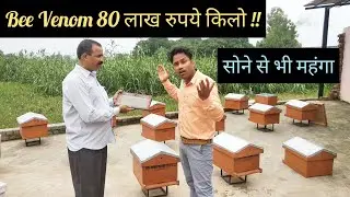 सोने से भी महंगा है यह Bee Venom  || 80 लाख रुपये किलो  || Hello Kisaan
