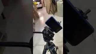 688 digipod