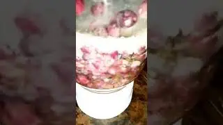 falsa sharbat recipe|short |@Tarkahandikitchen