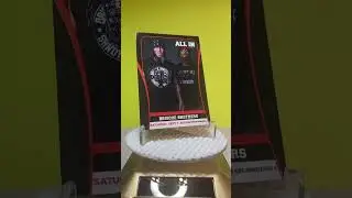 2018 Ring Of Honor &ldquo;ALL IN&rdquo; Brisco Brothers