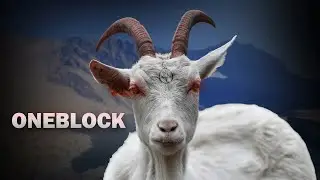 ONEBLOCK con mods de TERROR! - pt.1  |  Minecraft