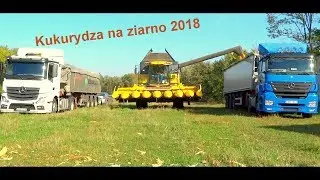 Kukurydza na ziarno 2018 w firmie Sami-Swoi New Holland CX i TC |60FPS| |HD| [Rogaś12]