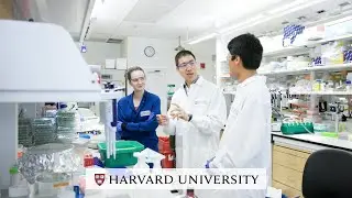 Harvard's David Liu on why publicly-funded research matters
