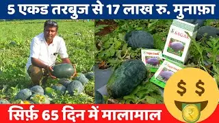 5 एकड तरबुज से 17 लाख रु.मुनाफ़ा | तरबूज खेती सक्सेस स्टोरी,Tarbuj Success Story |Watermelon Farming
