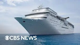 Cruise ship virus outbreaks: Why they happen and how they're mitigated