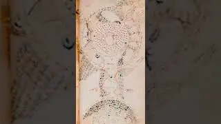 Voynich Manuscript Unveiled: Decoding History's Enigma