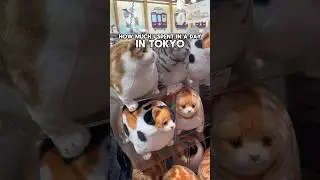 Сколько я потратил за день в Токио 🇯🇵