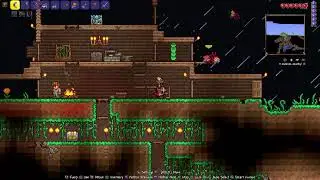 Terraria first timer.