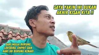 Pencarian Burung Kenari Yang Berbuah Manis Sekali