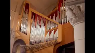 Vincent Lubeck-Prélude et Fugue en Mi Majeur - Orgue du Chant d'Oiseau-Bruxelles-Ignace Michiels
