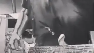 Stoner Psychedelic Rock Riff