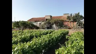 89.000EUR | Casa antiga para restaurar com 5.120 m2 de terreno - Olho Marinho - &Oacute;bidos
