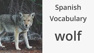 How to say 