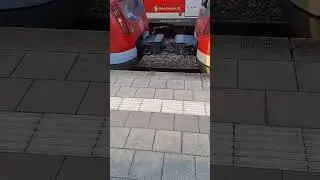 Scharfenbergkupplung Sbahn