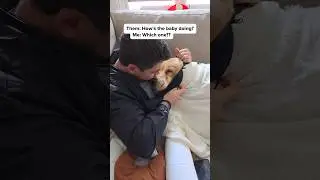 Hairy or non-hairy?🧐 #alwaysababy #goldenretriever #mansbestfriend #baby