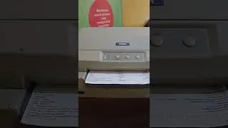 Finishing Service Printer PLQ 20 Oleh Teknisi RDV IT Store