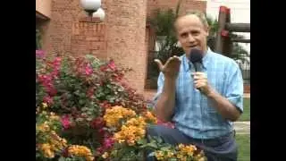 El don de la palabra