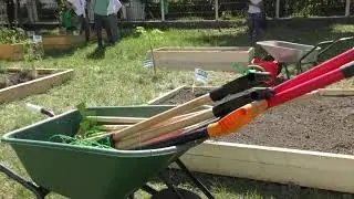 Proiect &rdquo;Viața &icirc;n grădina verde - Grădinescu C&acirc;mpia Turzii&rdquo; (26.06.2019)