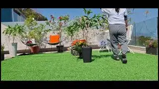The beautful View and Flowers in the garden.