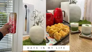 Digital diary of a home maker|| Matcha Date || Amazon Haul || South African YouTuber living abroad 