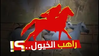 ارسان الخيل العربى المصرى الأصيل و راهب الخيول