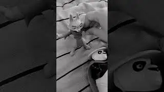 prepar&aacute;te para los horrores