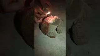 Teddy bear Boom|| We made Teddy bear Bomb #D2Y vlog #Teddybear #diwali #trending #viral