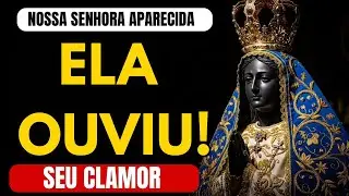 Se Você Está Aqui, Essa Resposta É Para Você | Nossa Senhora Ouviu Seu Clamor