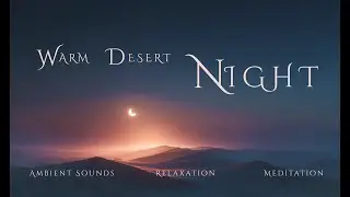 Night in the Warm Desert | Calm Ambient Soundscape for Sleep, Peace & Stillness