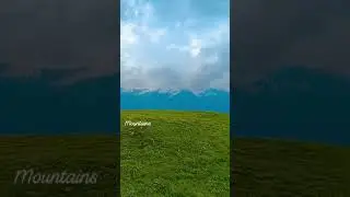 lush green valley, with snow covered mountain