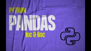 Python Pandas - Selecting & slicing data using loc and iloc