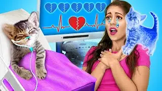 🙀🆘 この小さな猫を救ってください！ペットオーナーのための秘密のハック＆ガジェット by La La lif