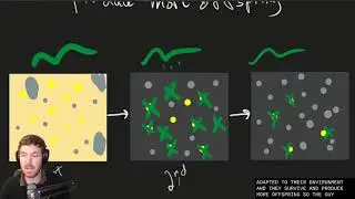 Evolution, Natural Selection, and Antibiotic Resistance