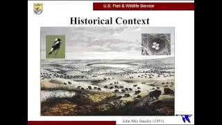 Livestock-Wildlife Interactions and Targeted Grazing