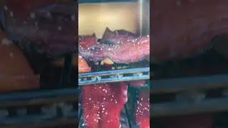 Smoking Salmon in My Pit Boss!#salmonfish #pinksalmon #fishing #fypシ #fyp #smokedsalmon #shorts