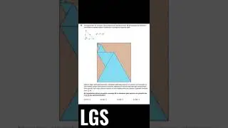 Teog VS LGS