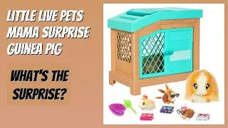 REVIEW (2026): Little Live Pets Mama Surprise Guinea Pig. Features