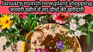 January manth Mein plant shopping 🛍️\\जनवरी महीने में पौधों की खरीदारी #gardening #kiran