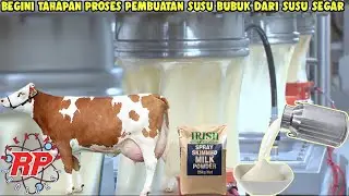 TERNYATA BEGINI TAHAPAN PROSES PEMBUATAN SUSU BUBUK DARI SUSU SEGAR DARI PETERNAKAN