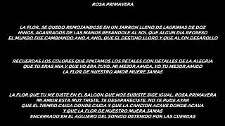 Rosa Primavera - J.J. Salas