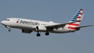 American Airlines 737-800 FULL Approach + Landing + Taxi into Tampa International Airport | 1/15/26