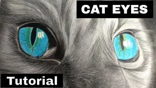 How To Draw A Realistic Cat Eye For BEGINNERS