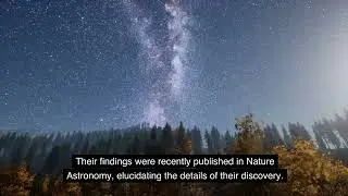 Astonishing Einstein Cross Observed in Space Following Distant Supernova