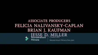 The Simpsons Fanmade Credits #14 (Christmas Special)